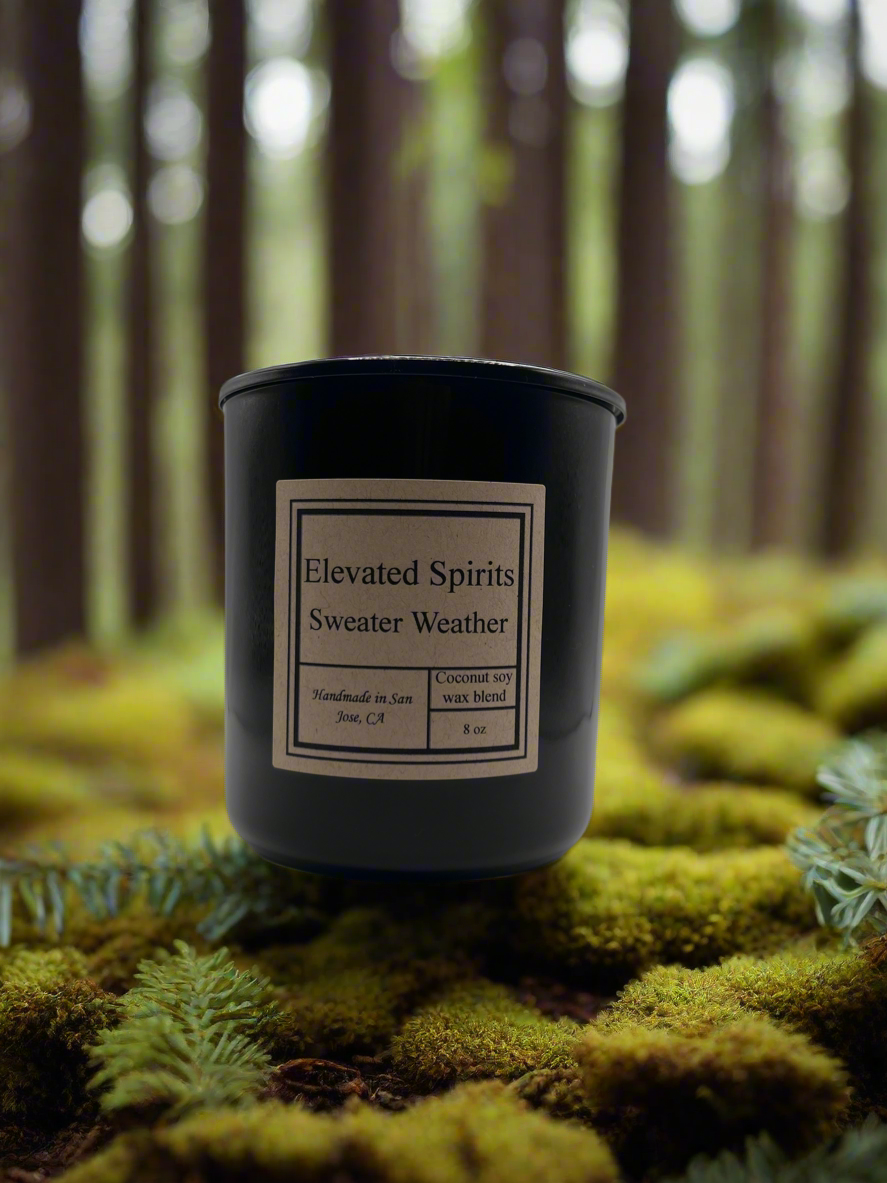 Shop Our Curated Collections